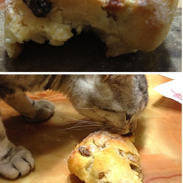 乡村葡萄干面包