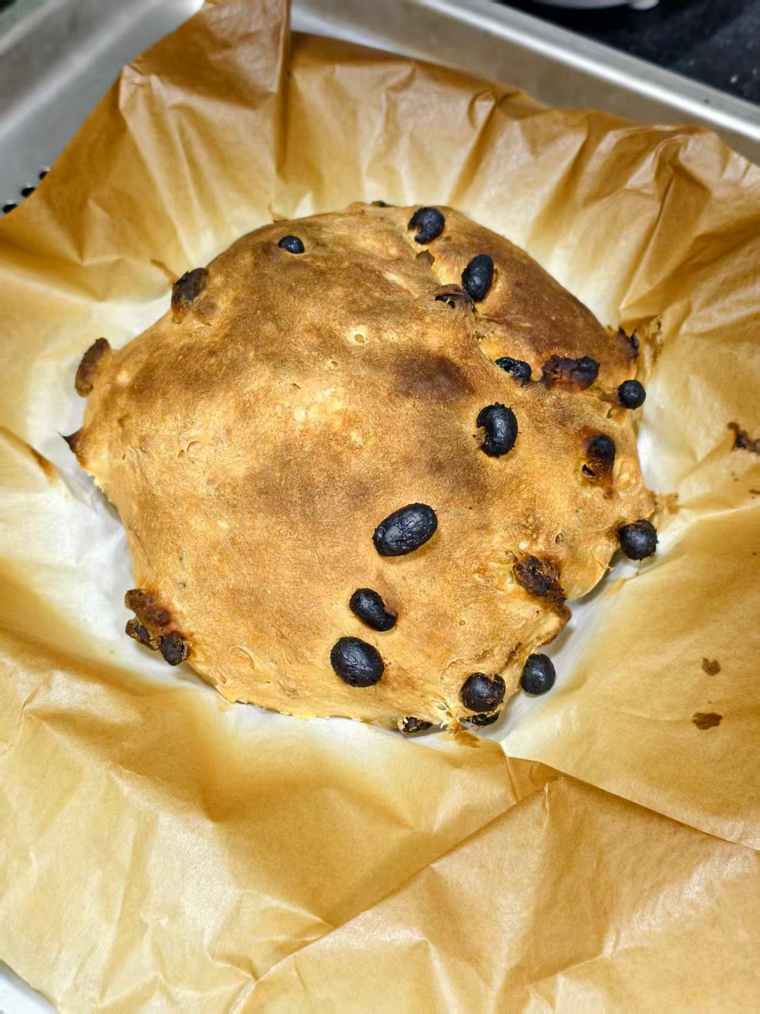 波兰种免揉欧包