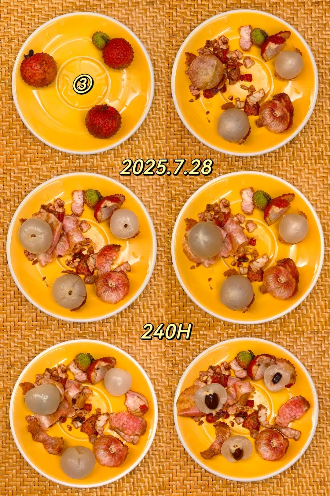 荔枝保鲜对比