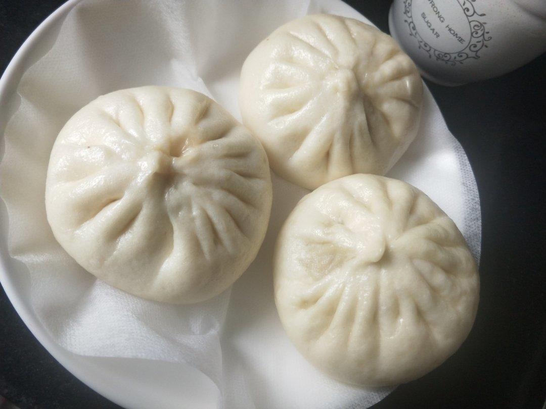 独家汤种一次发酵法白胖大肉包