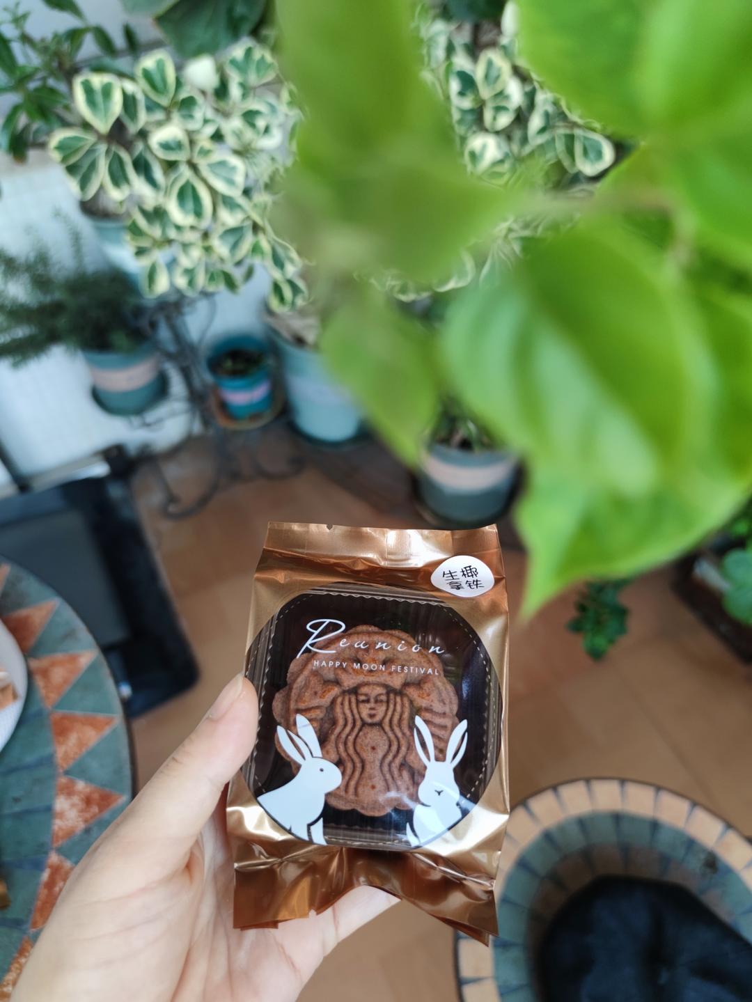 原创首发——广式生椰拿铁软心月饼