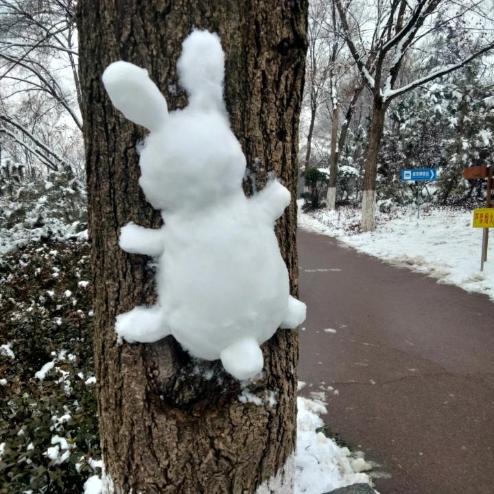 Icey__