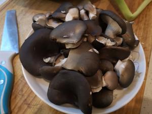 耗油蘑菇🍄🍄鲜嫩的不行的做法 步骤2