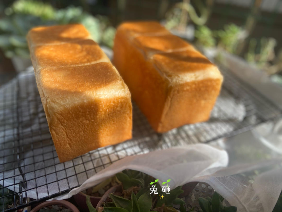 好吃到犯规的网红「生吐司」