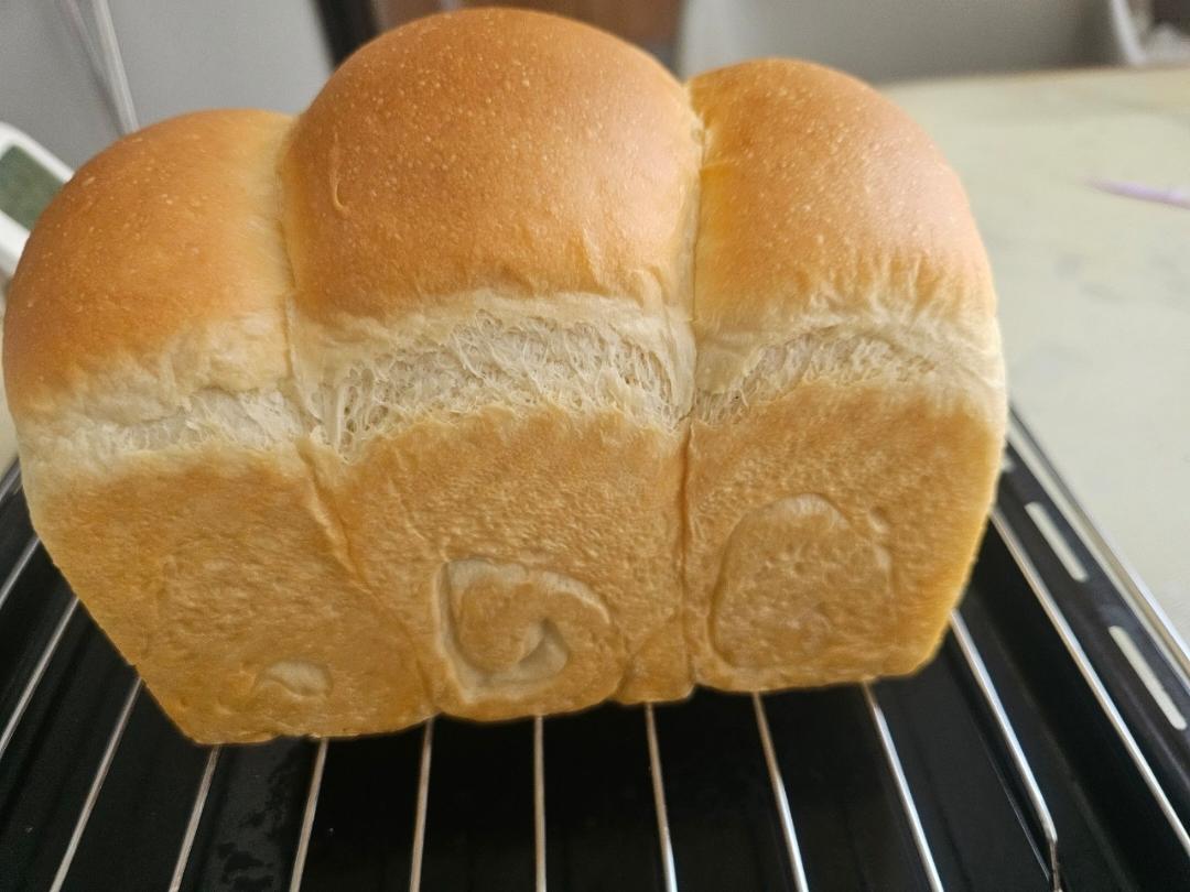 椰浆吐司🍞一次发酵