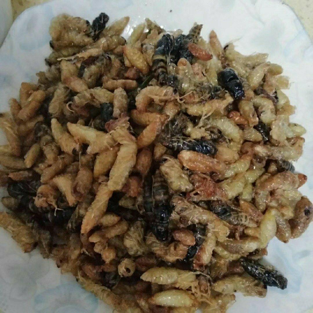 酥炸黄金蛹（雄蜂蛹）强腰补肾@重振雄风
