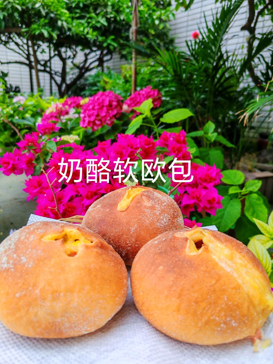 今年做过最好吃的软欧包-香橙熔岩奶酪球