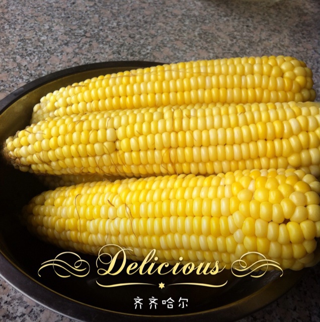 煮玉米