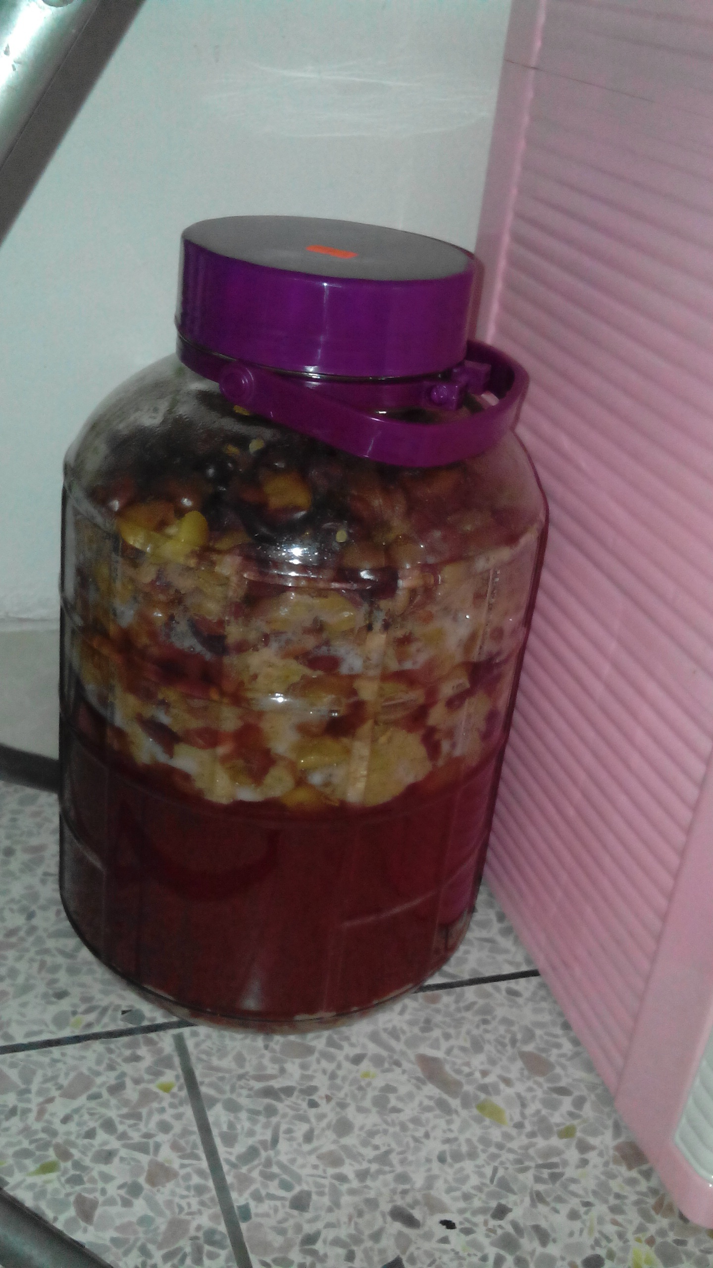 俄简单俄快乐o做的自酿葡萄酒