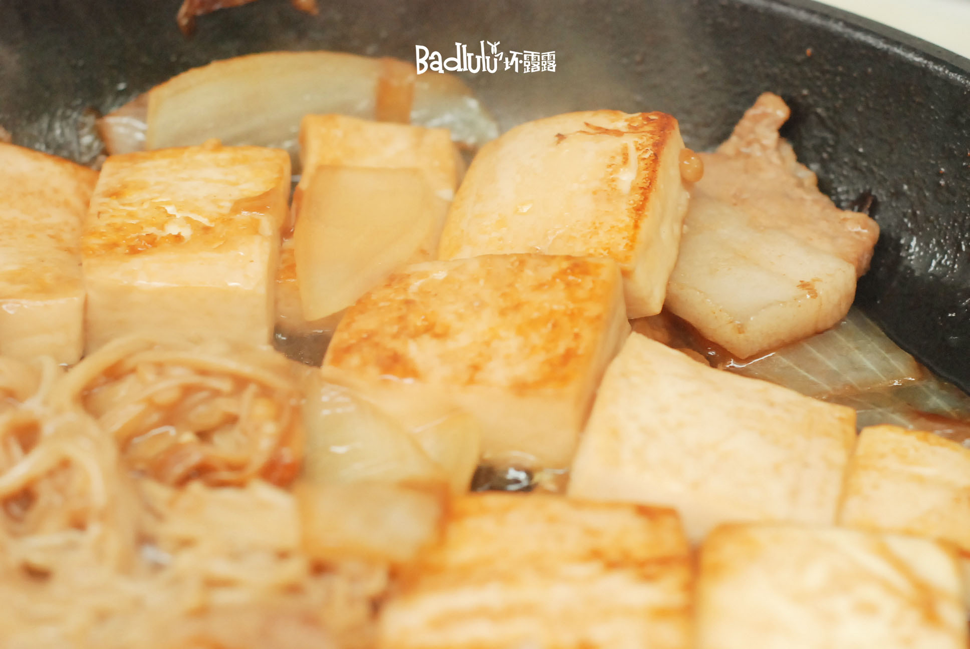 《昨日的美食 新年特别篇 》肉豆腐@坏露露的露台食光的做法 步骤5