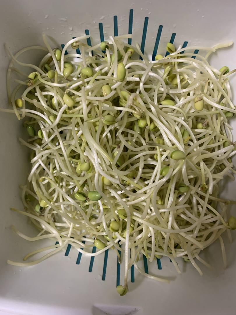 沥水篮发豆芽