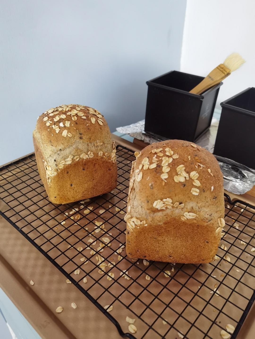 65%全麦吐司 王后粗麸/粗粒全麦粉 无奶低糖低油也可以很松软的粗粒全麦吐司