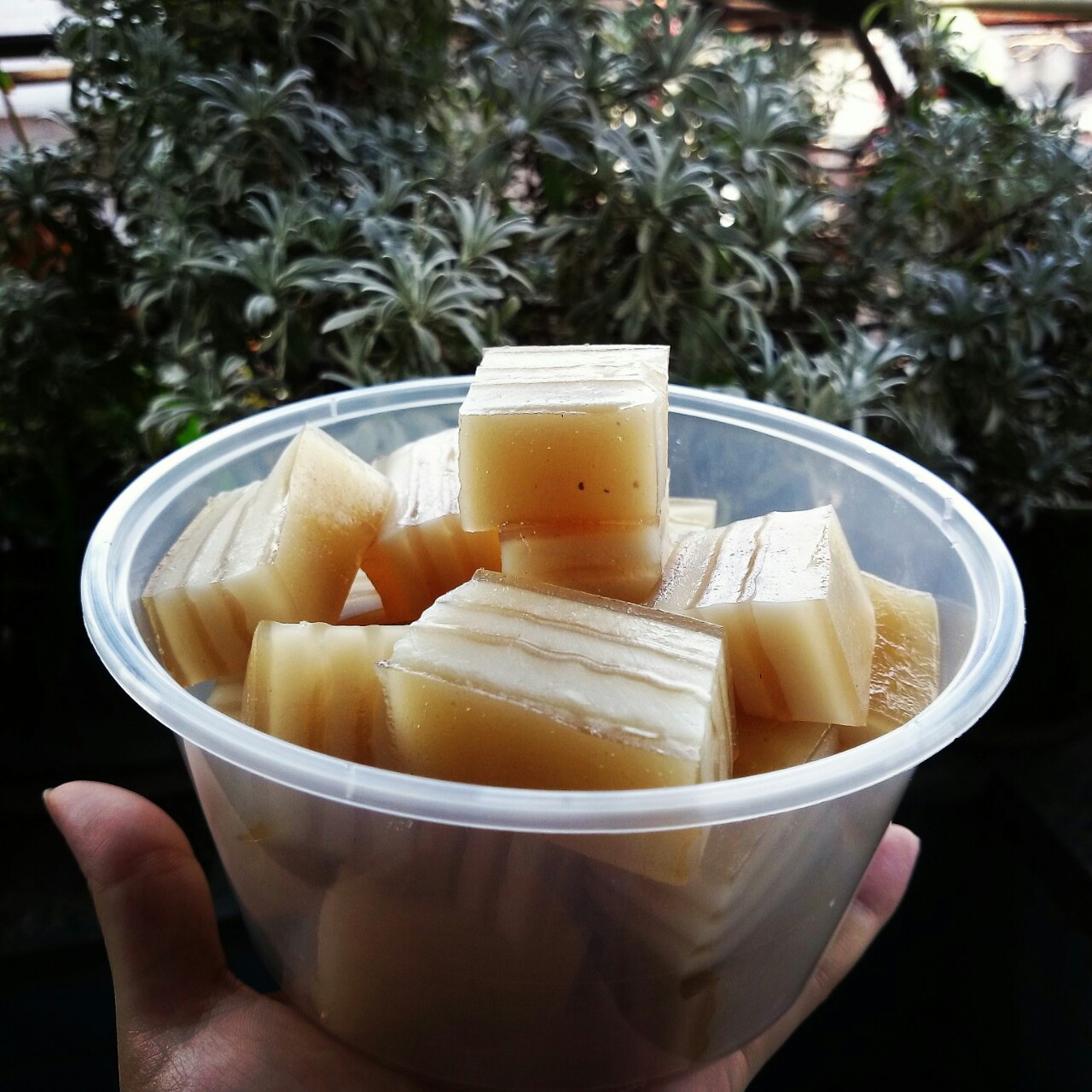 千层椰汁马蹄糕