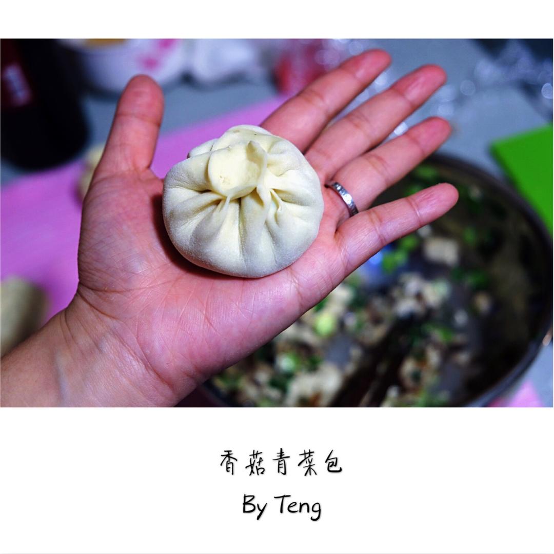 节省一半时间的大包子（另付翠绿菜包子，肉包子，腹黑包子食谱）