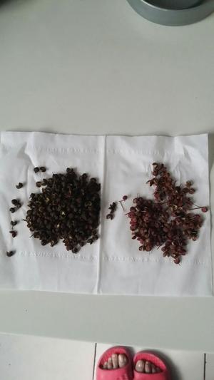 麻椒蜂蜜酸黄瓜的做法 步骤2