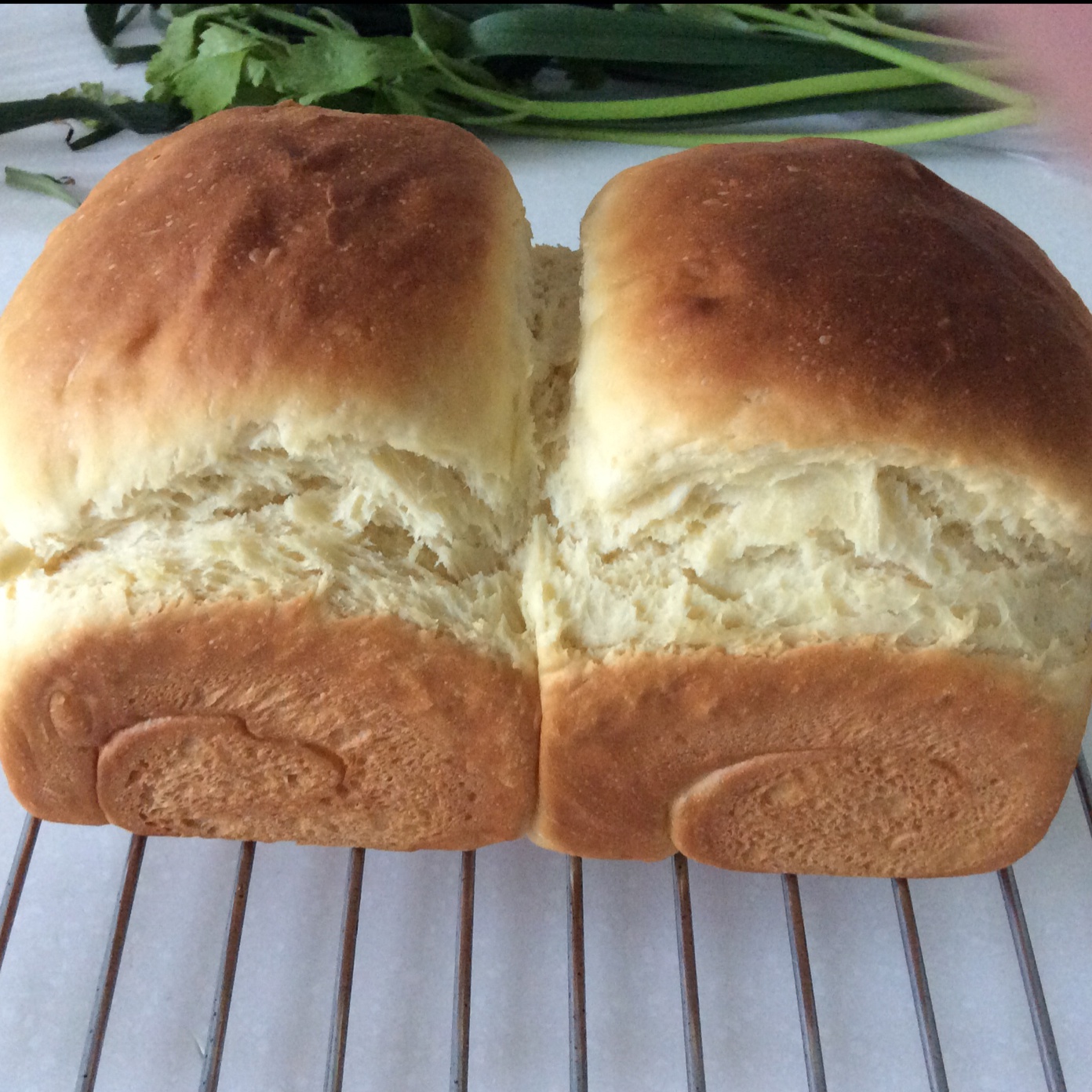 牛奶吐司（附详细步骤图）