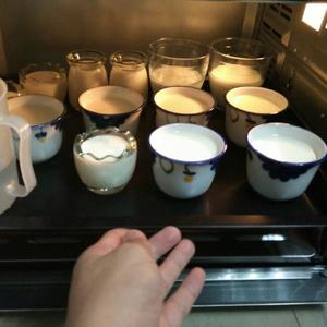 乳清酸奶的做法 步骤6