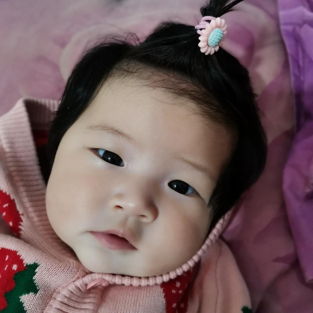 花花多多羊羊