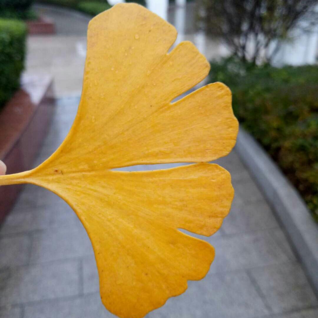 静待花开sy的厨房