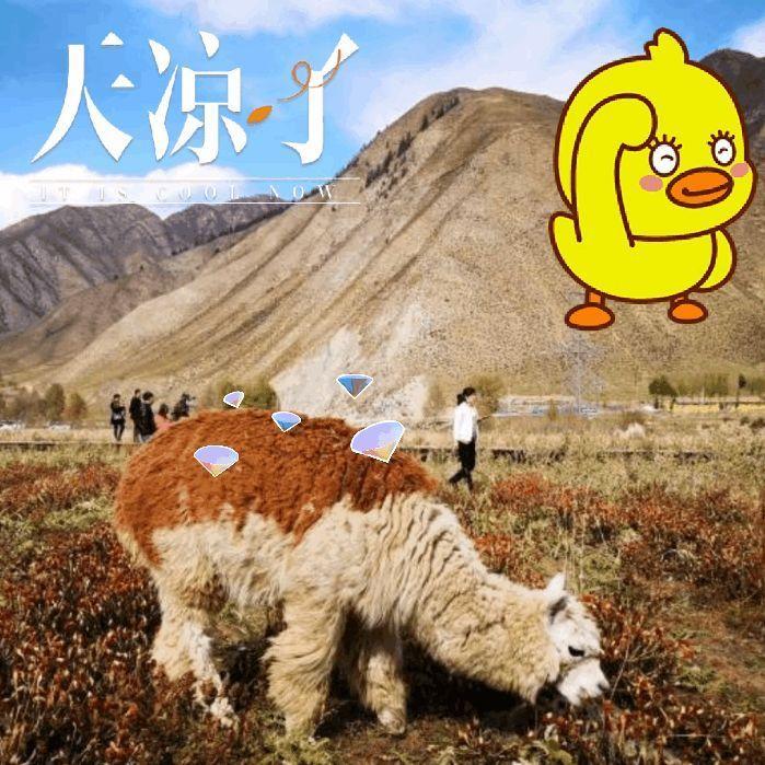 悠哉我xin