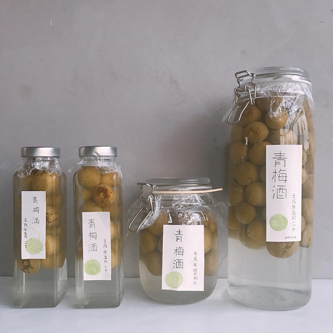 【青梅酒】梅子的沉醉时光（已填坑）