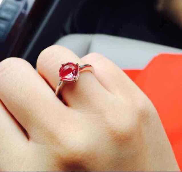 小白兔sc�          ღ