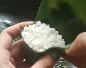 蜜枣糯米粽子的做法 步骤7