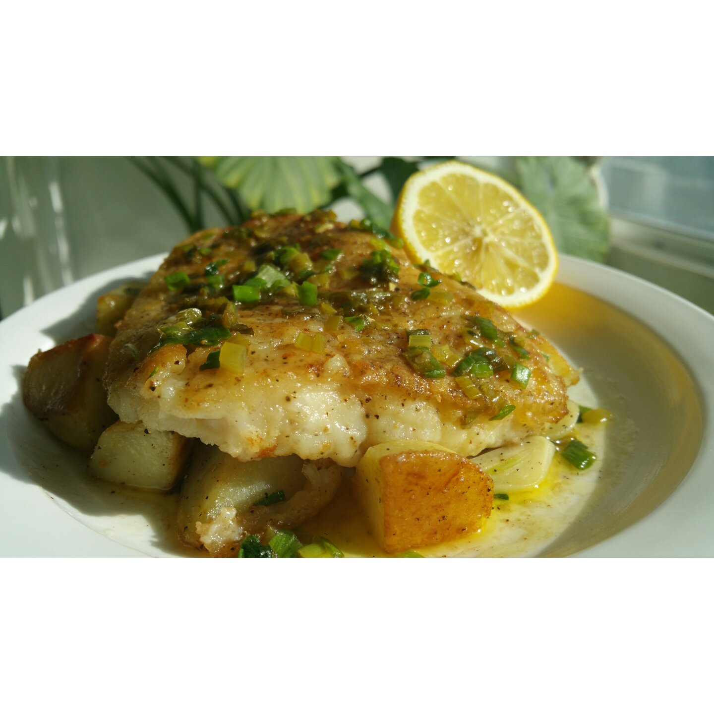 香煎龙利鱼——fit食谱系列