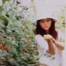 紫贝壳_cxnu的厨房