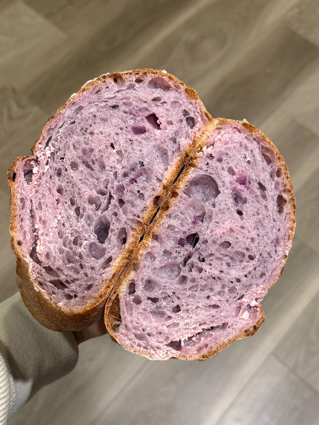 波兰种紫薯芝士硬欧