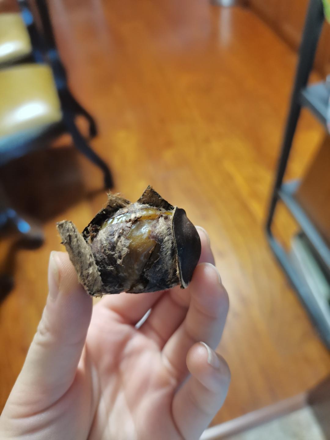 电饭煲煮栗子，栗子肉会跳出来~（内附划切口方法）