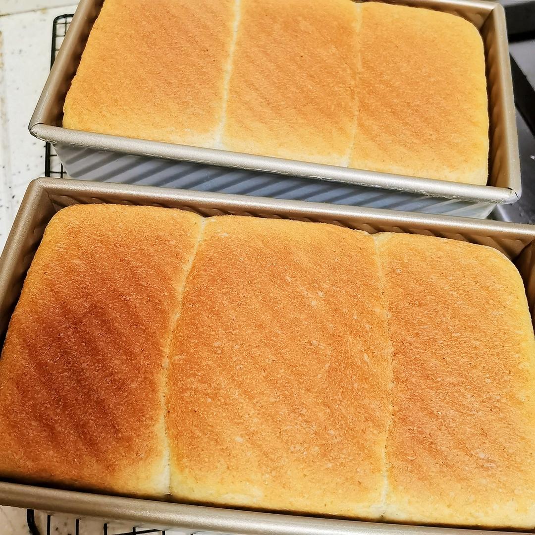 100%真•全麦吐司