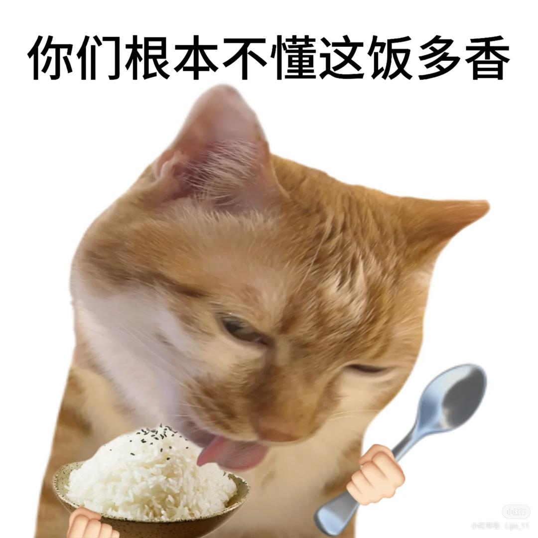 小M爱做饭