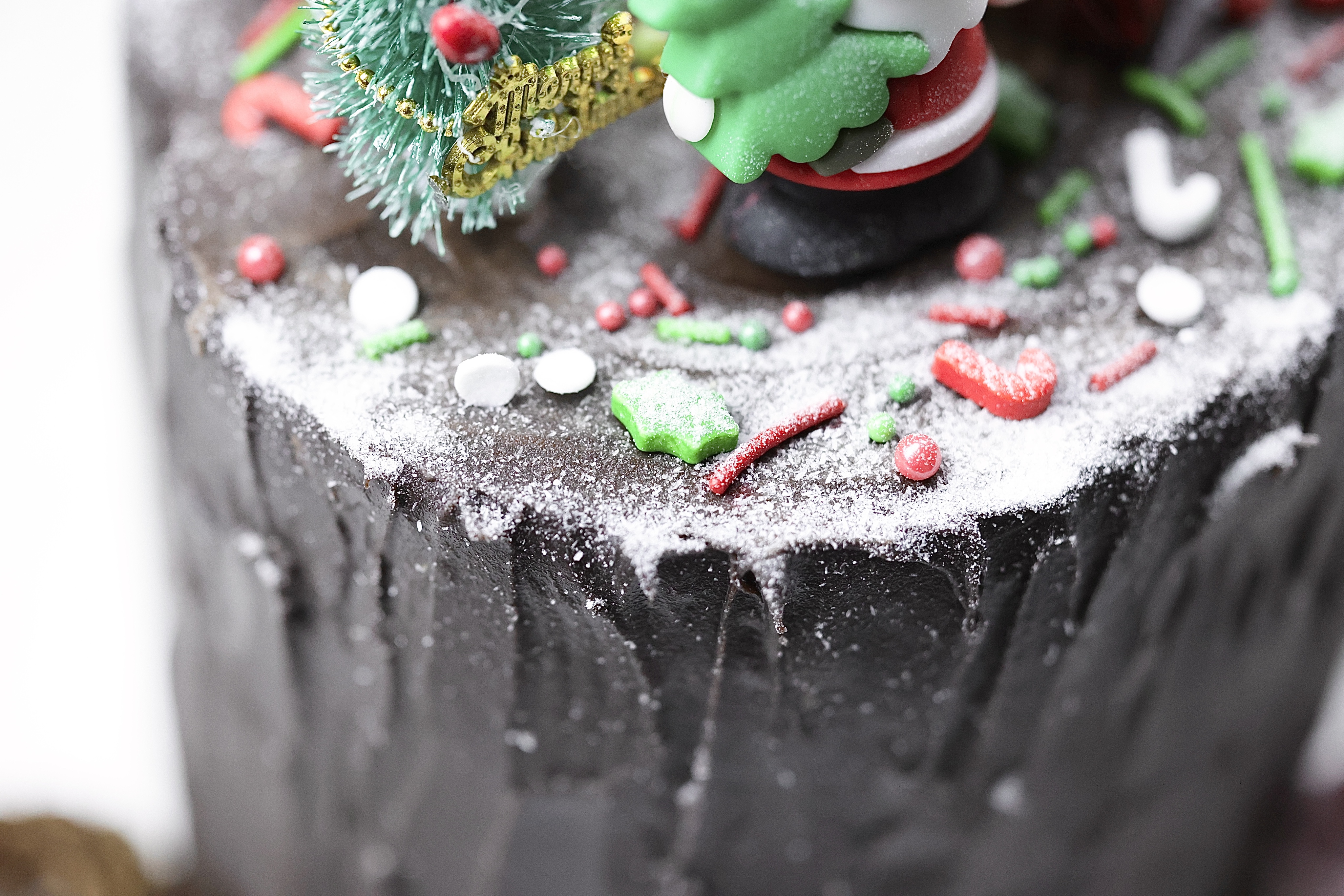 圣诞蛋糕🎄巧克力树桩蛋糕的做法 步骤27