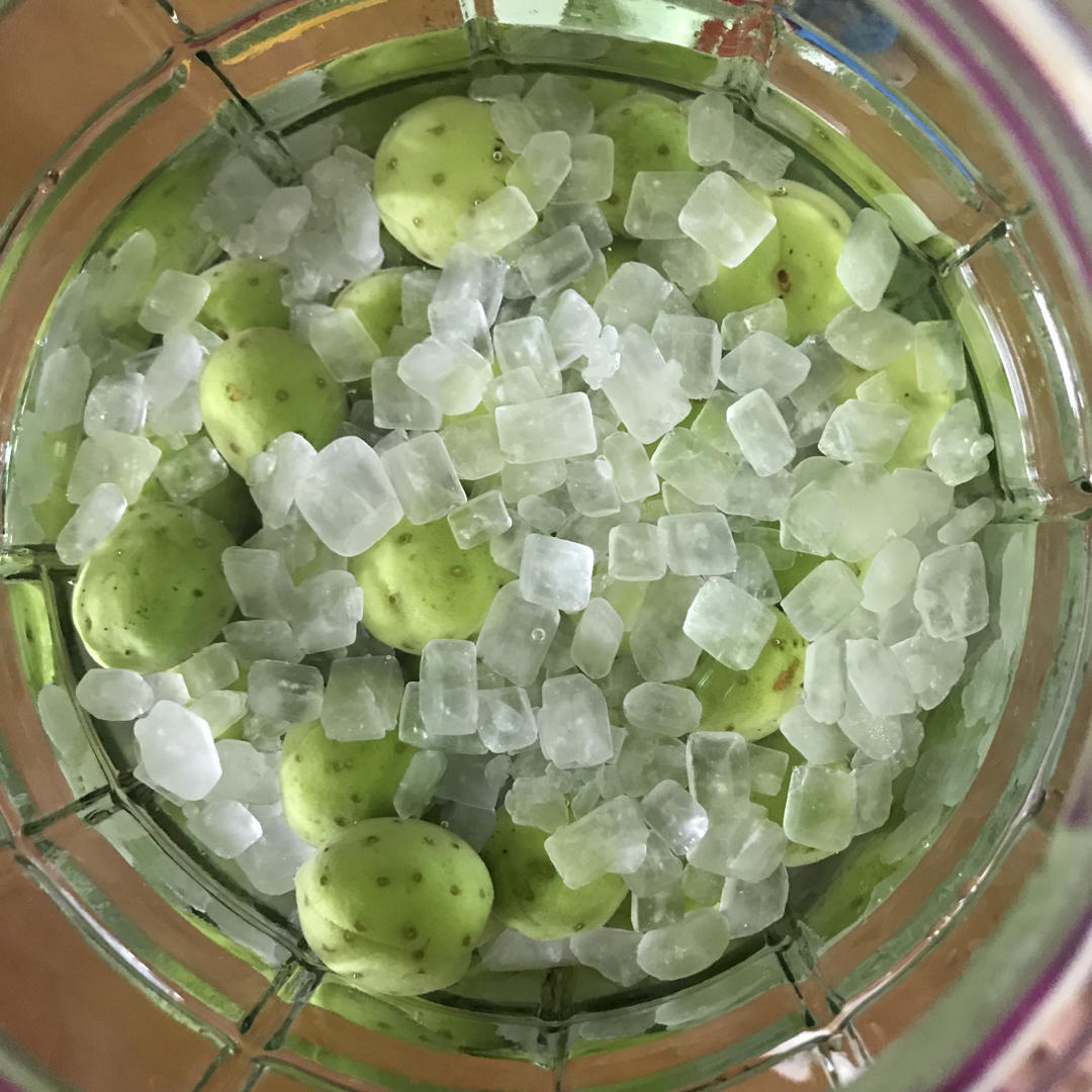 【青梅酒】梅子的沉醉时光（已填坑）