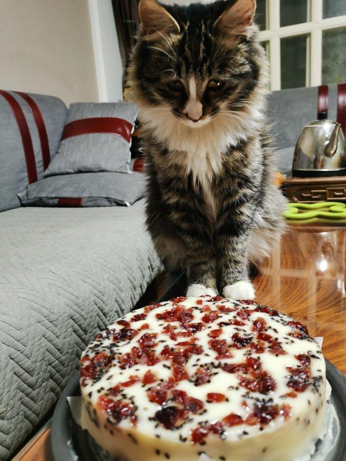 奶香浓郁❗️酸酸甜甜蔓越莓椰蓉糯米糕❗️