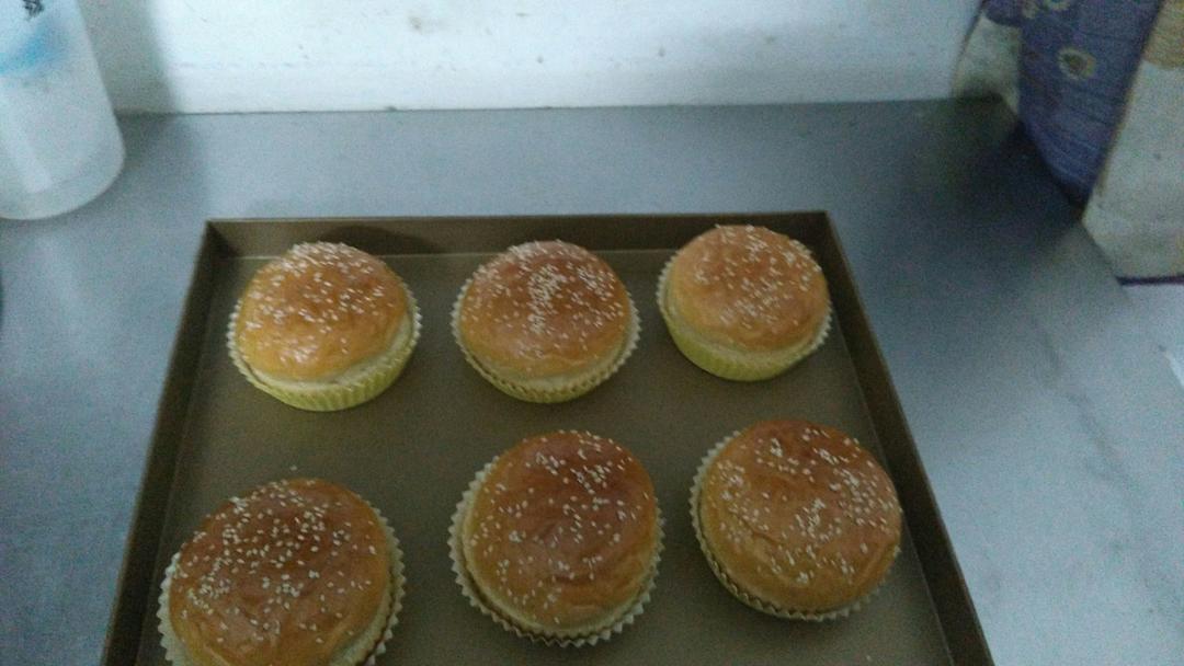 汉堡胚 poolish（波兰种）