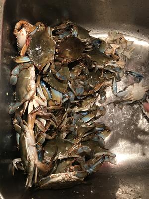 Seafood boil 螃蟹大虾扇贝香肠 美式海鲜一锅煮的做法 步骤7