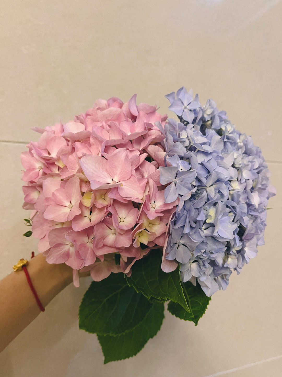 食光小记
