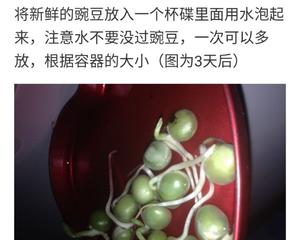 [纯素]新鲜发芽豌豆天贝沙拉的做法 步骤1