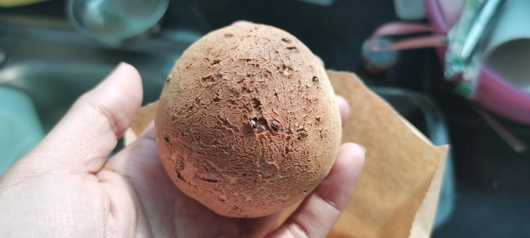 恐龙蛋·麻薯面包·麻薯包 自己做了1000➕的私人配方