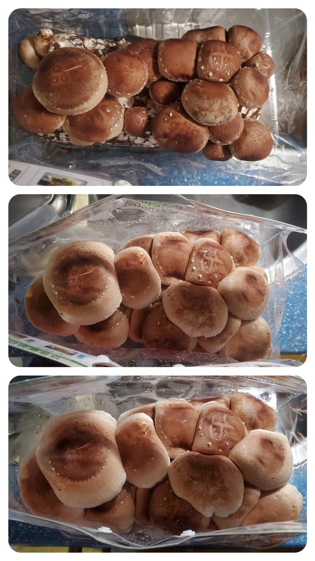 爱尝鲜的蔬果宇宙