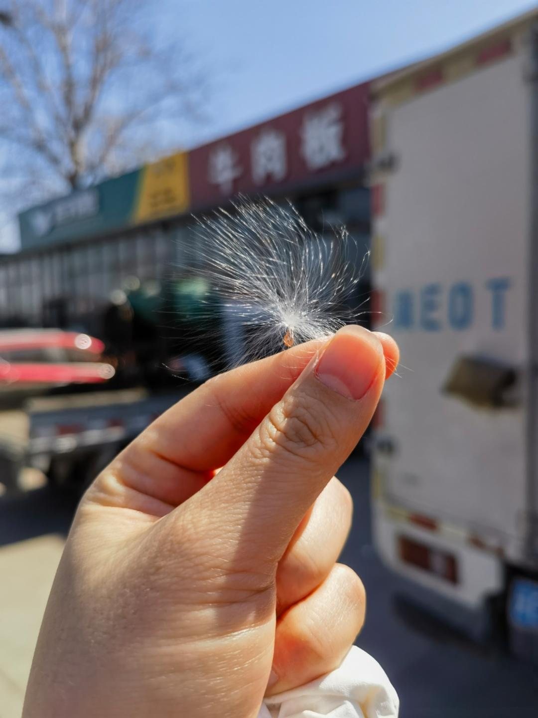 的的的的