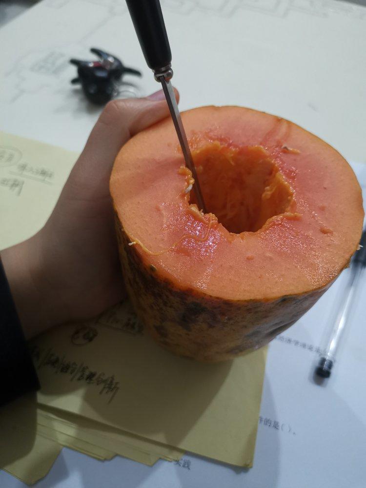 木瓜籽的功效