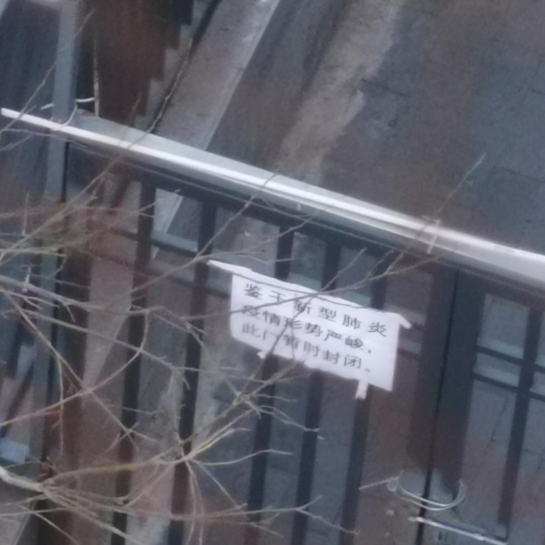 章鱼小丸子姐姐