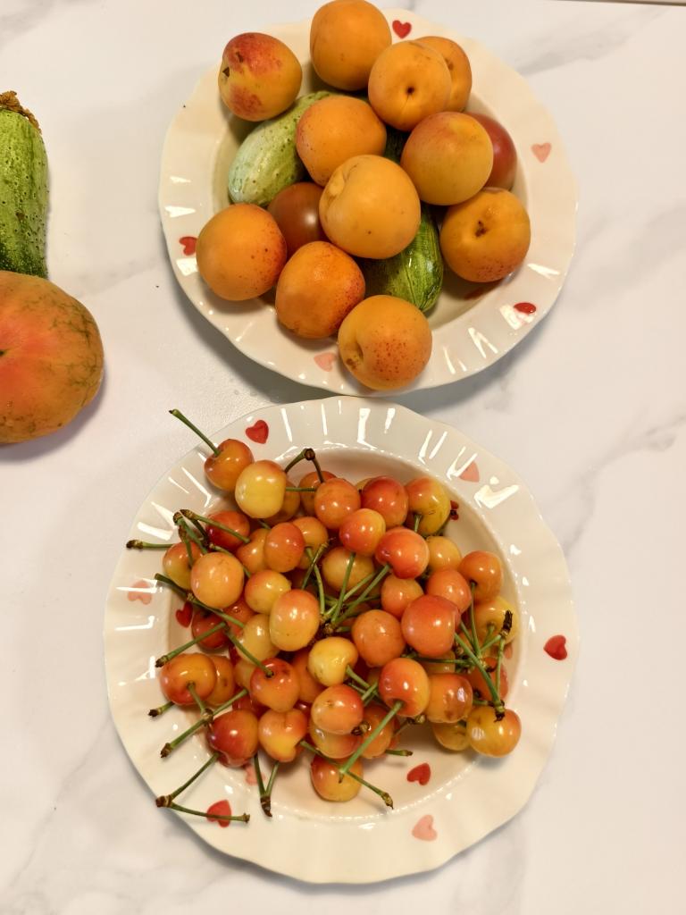 爸妈给的菜