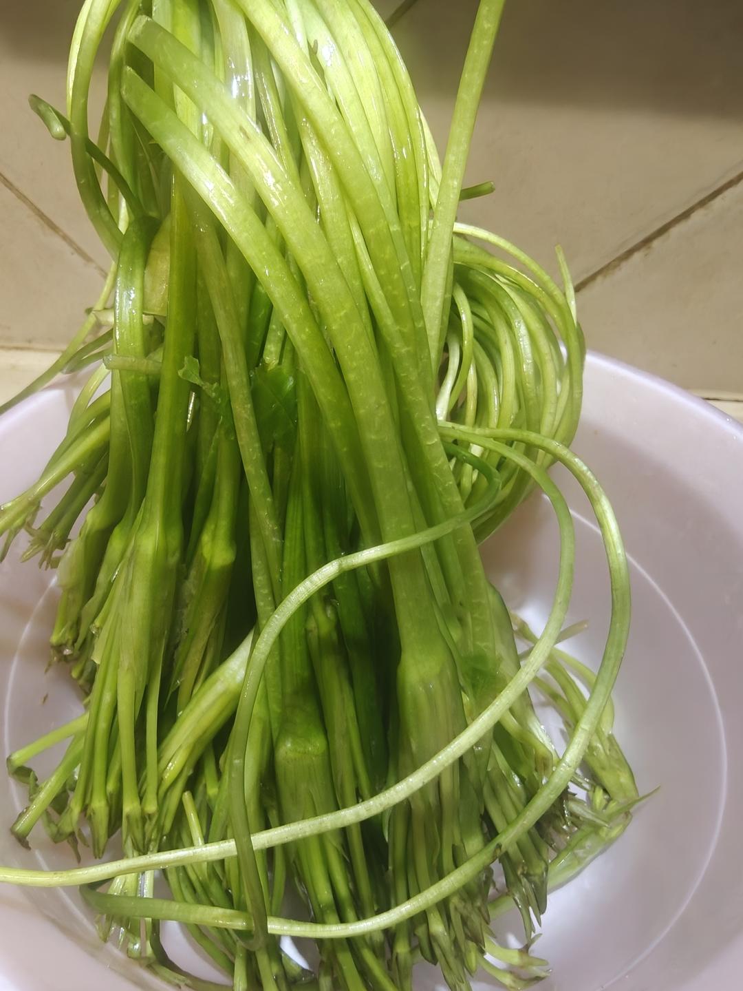 水性杨花炒鸡蛋