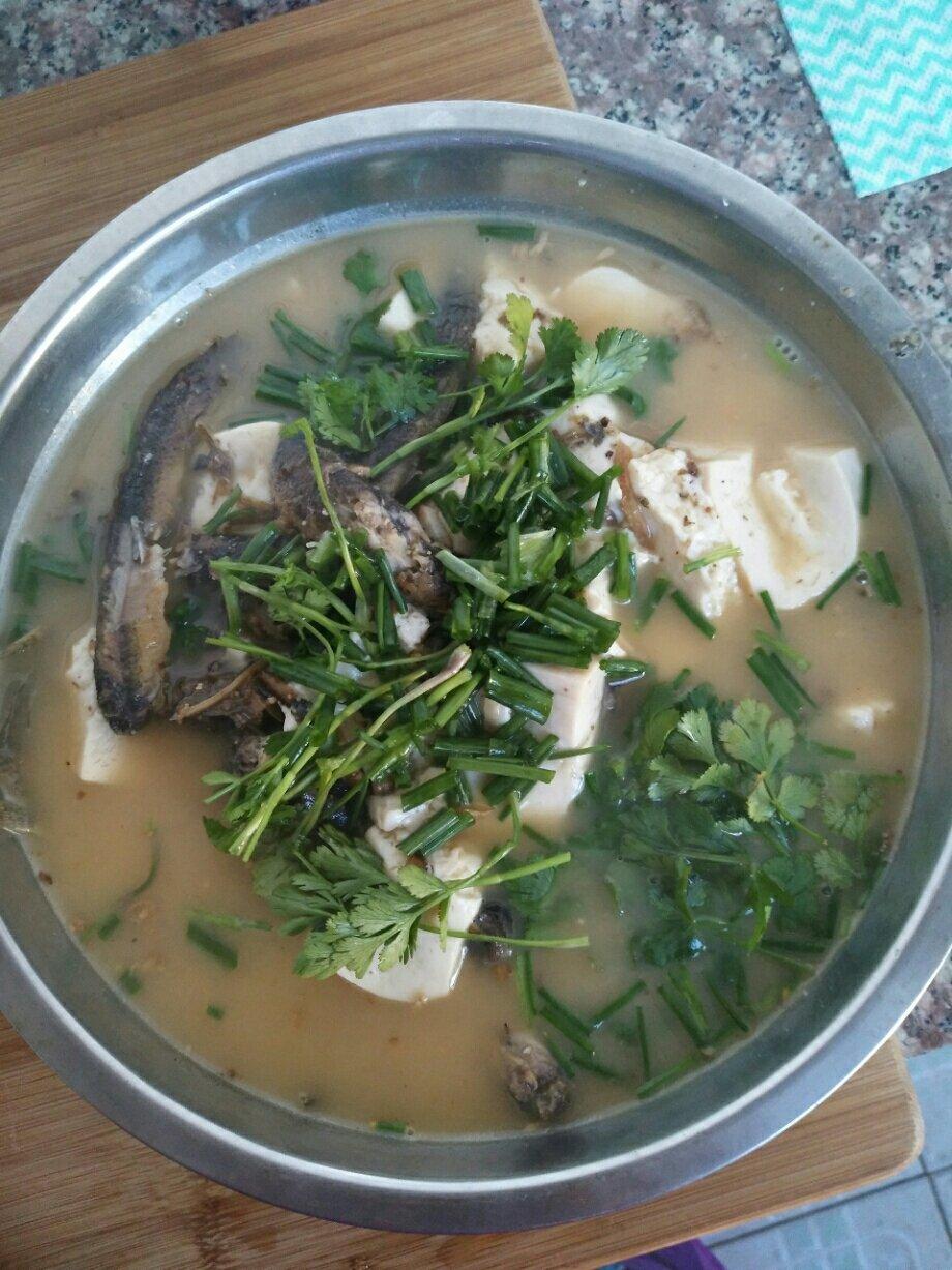 泥鳅炖豆腐（小贴士附杀泥鳅方法）