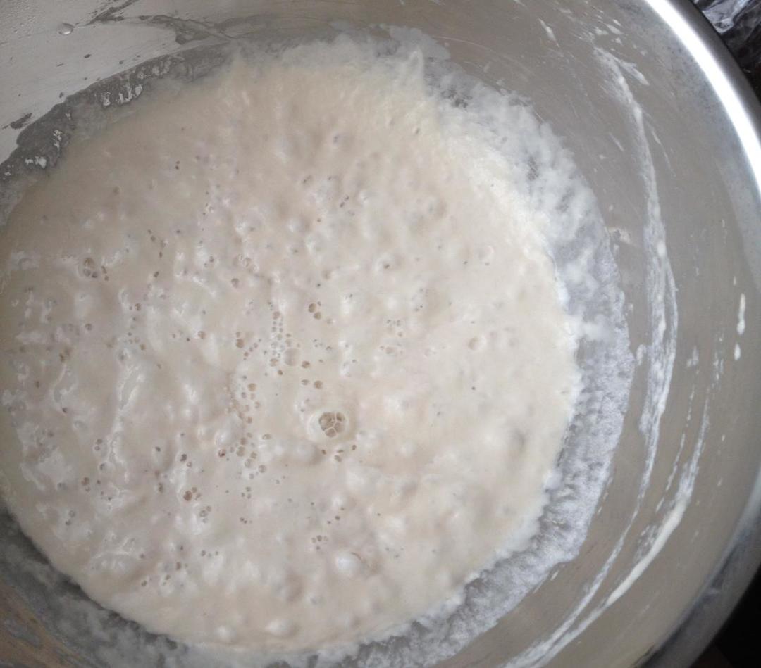 意外得来的天然酵种