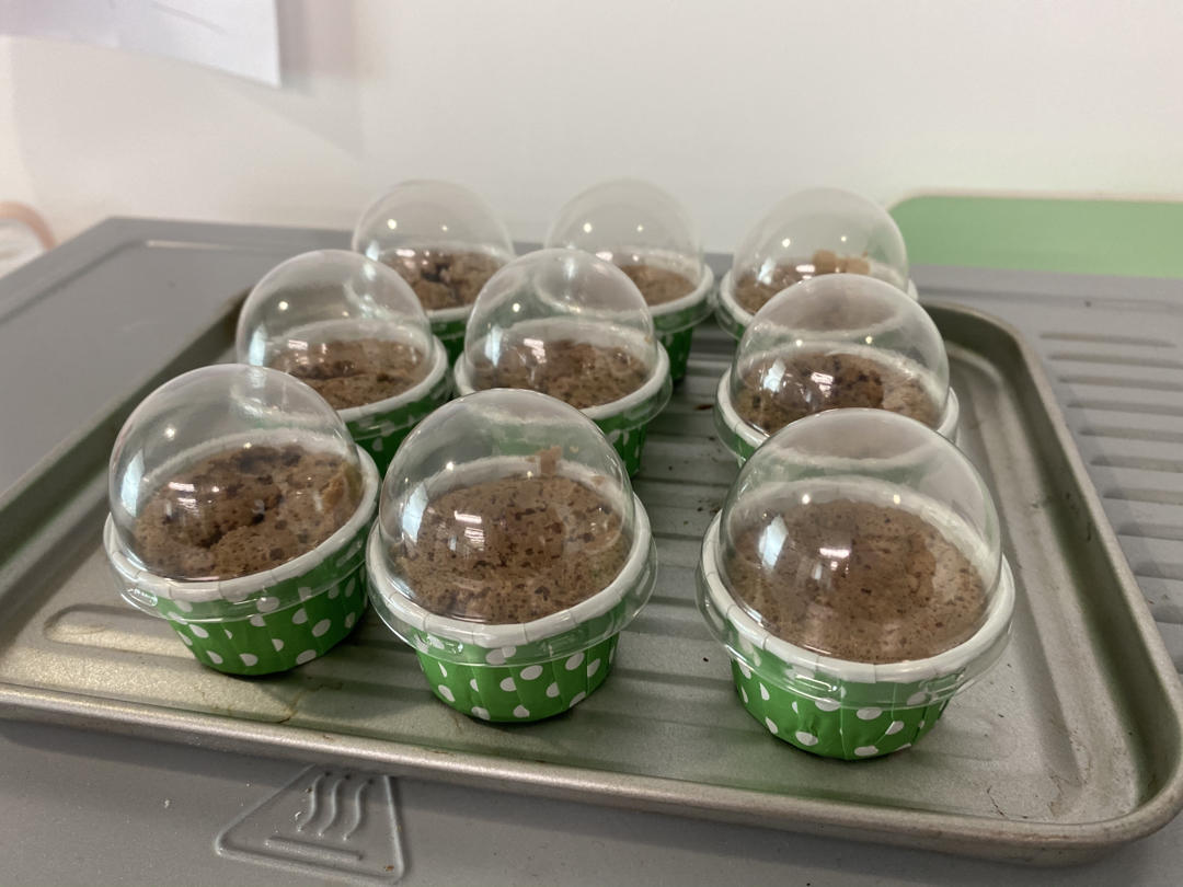 抹茶纸杯蛋糕，适合24连、20连模具，不塌不裂不回缩一次成功